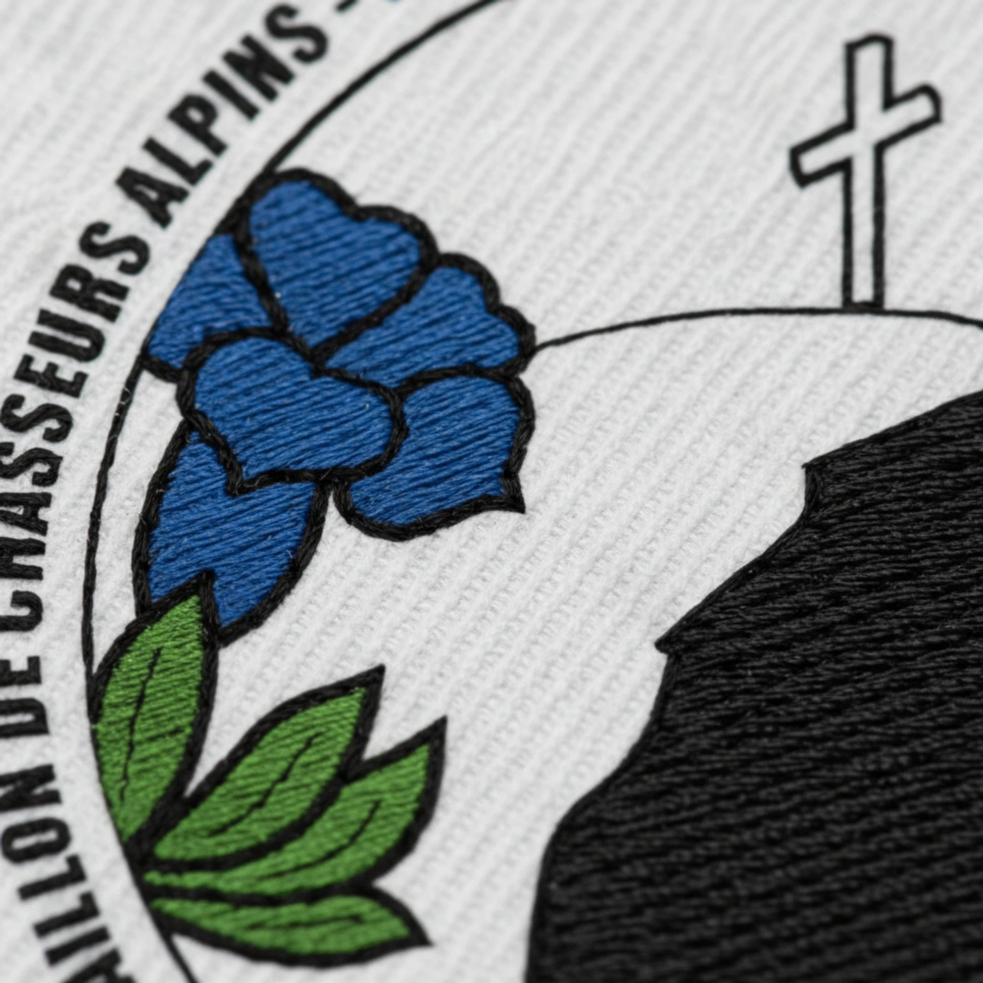 CSA DU 13EME BATAILLON DE CHASSEURS ALPINS - Collection