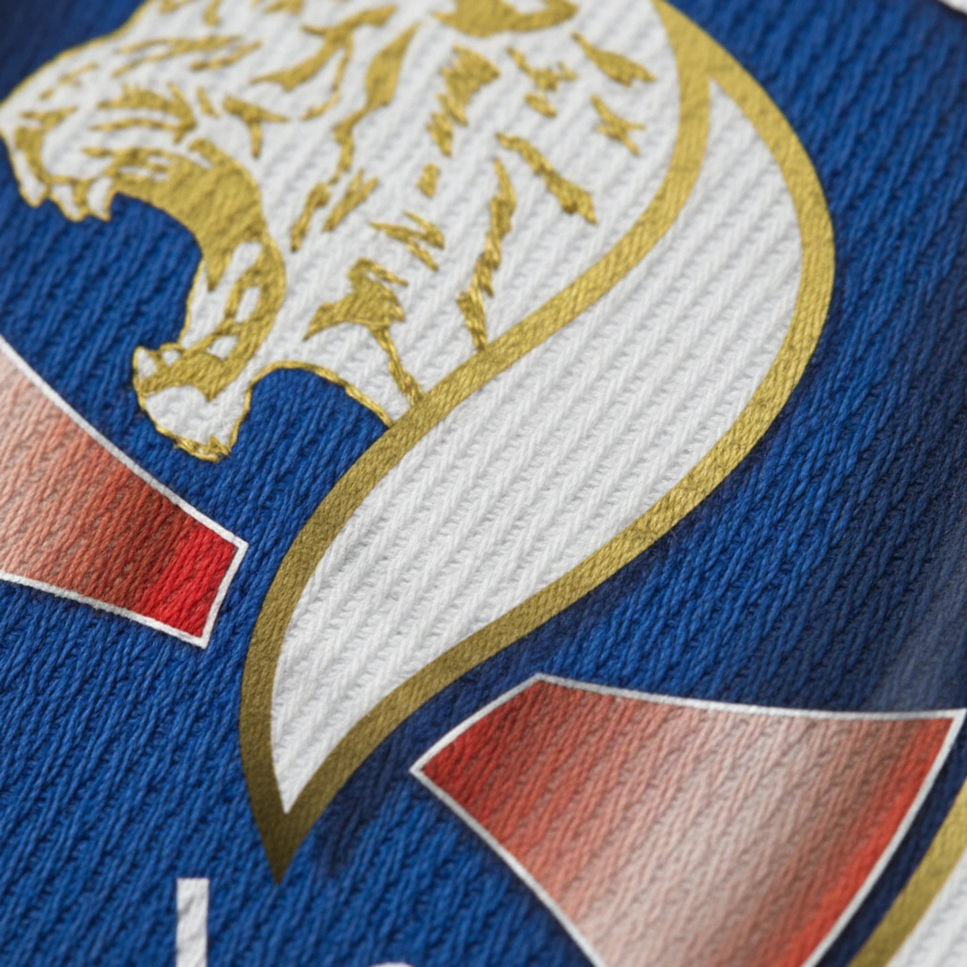 Venissieux Football Club - Détail