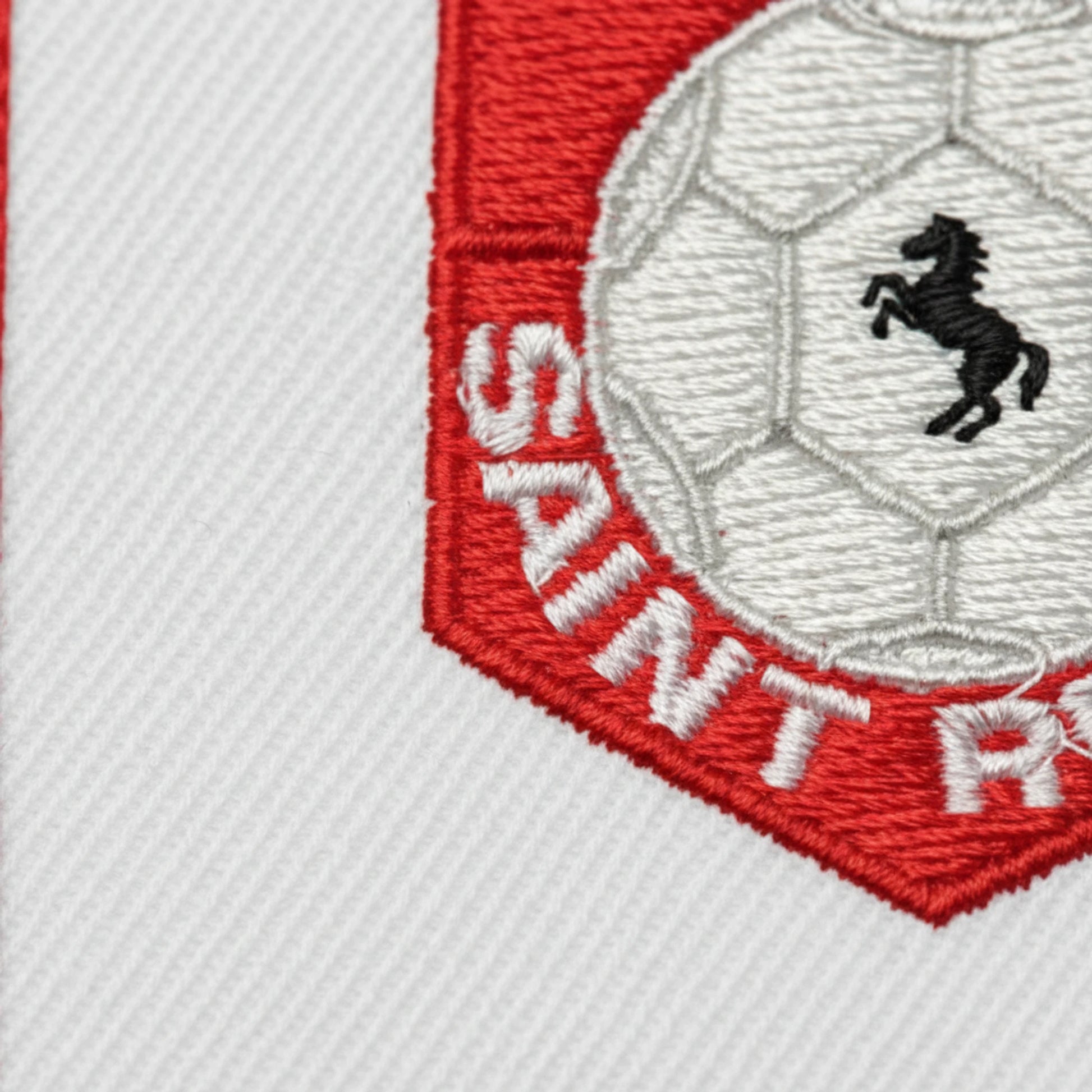 EA Saint Renan - Détail