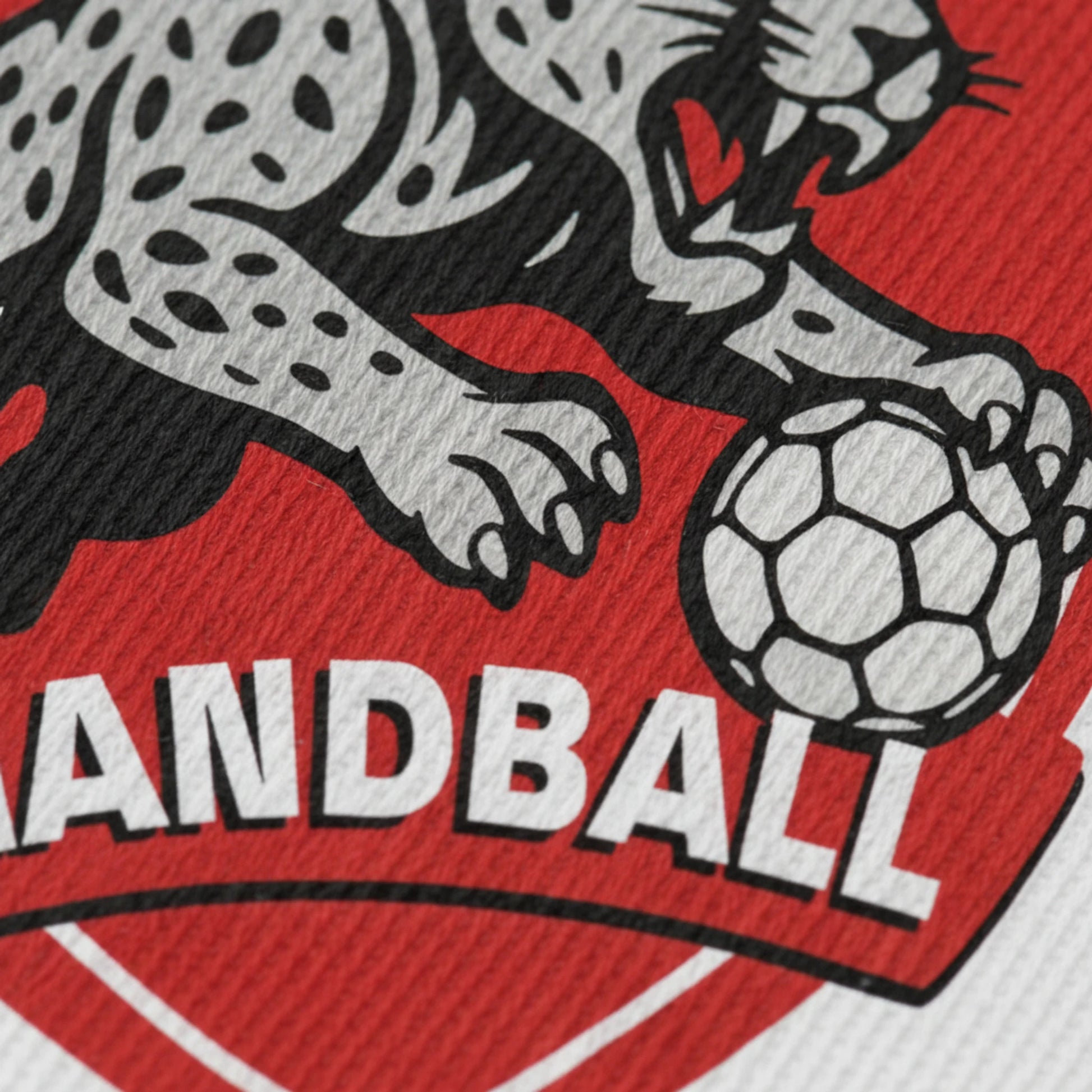 Quincieux MJC - Collection