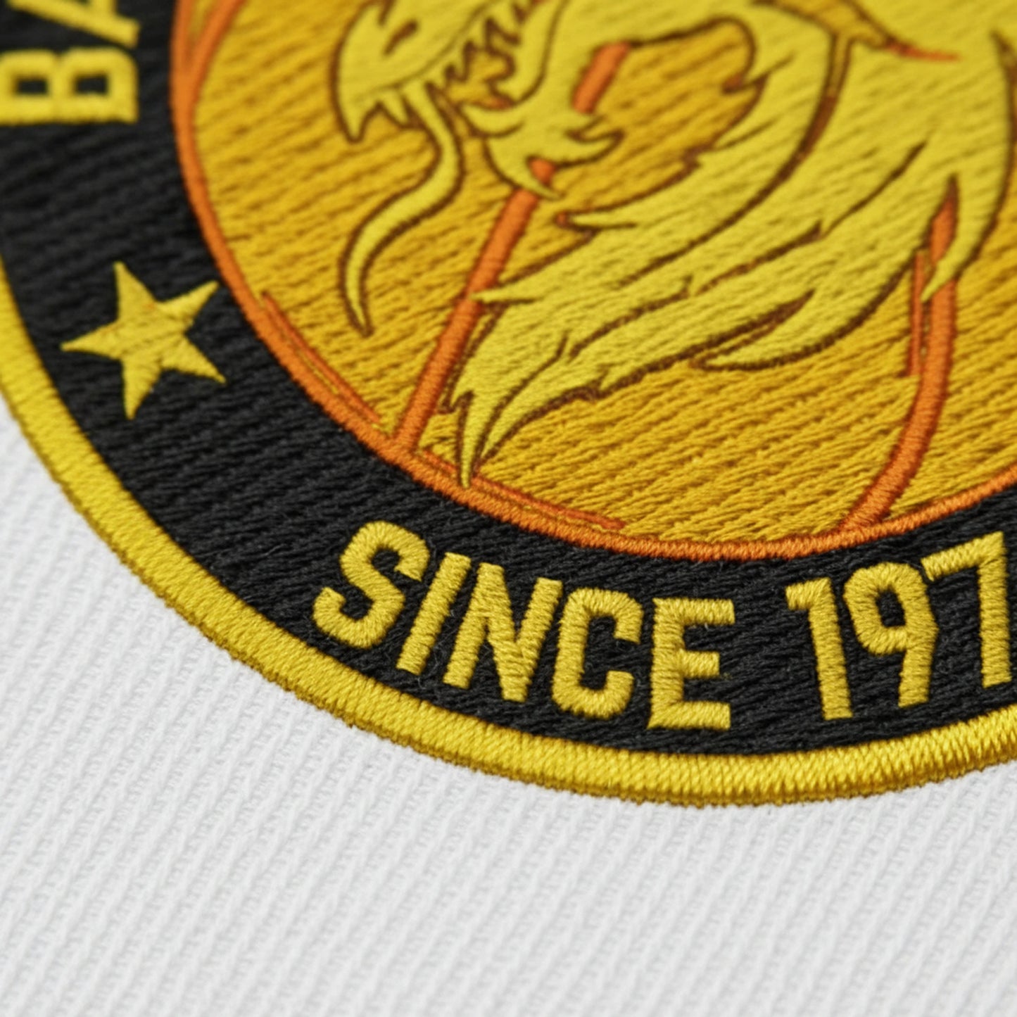 Chateauneuf Sur Sarthe - Détail