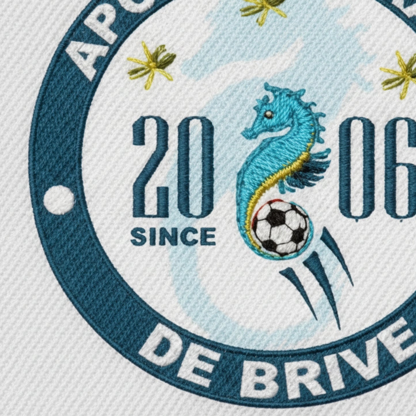 A.P.C.S. MAHORAIS DE BRIVE - Détail