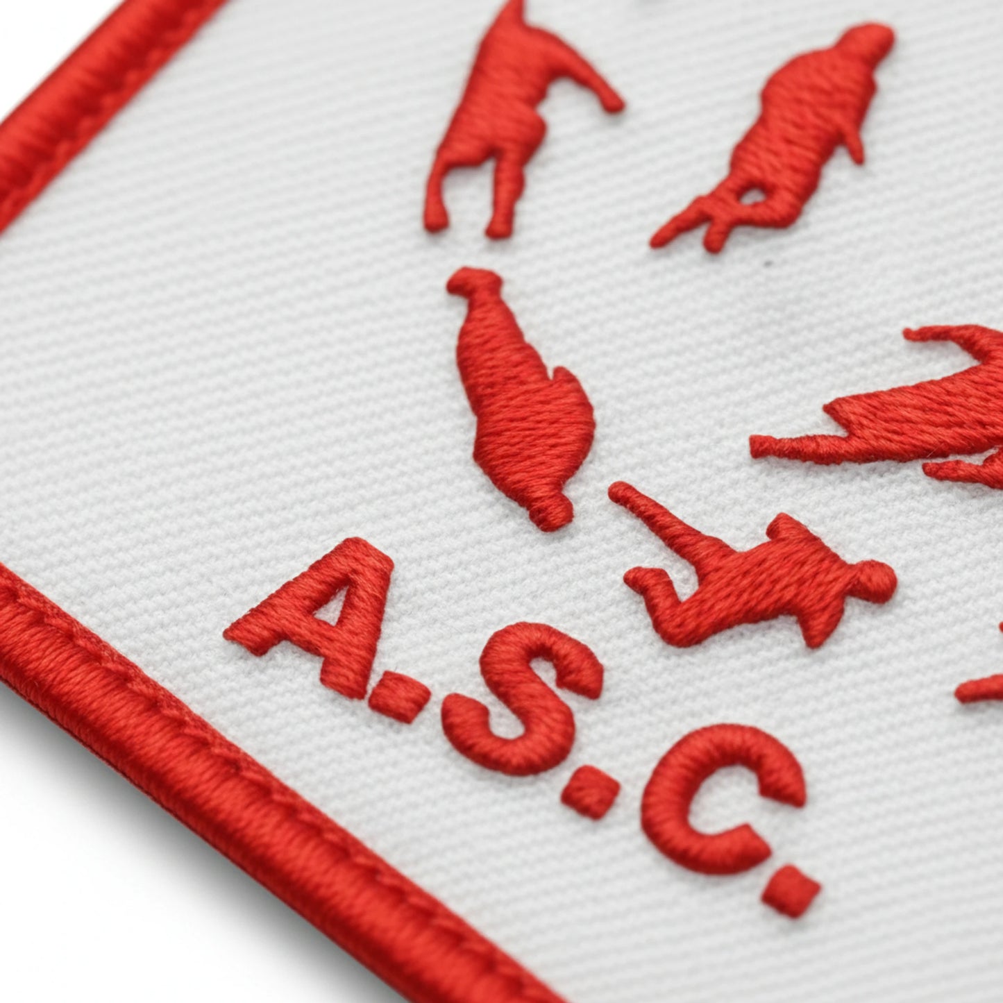 AS Champcevinel - Détail