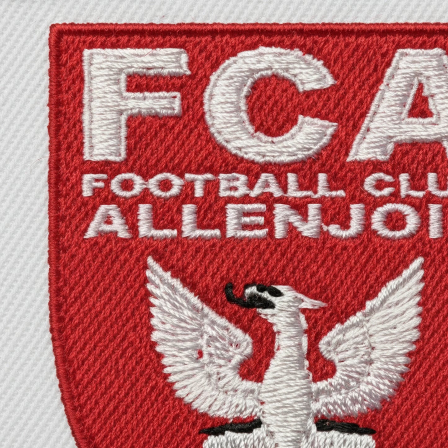 FC Allenjoie - Détail