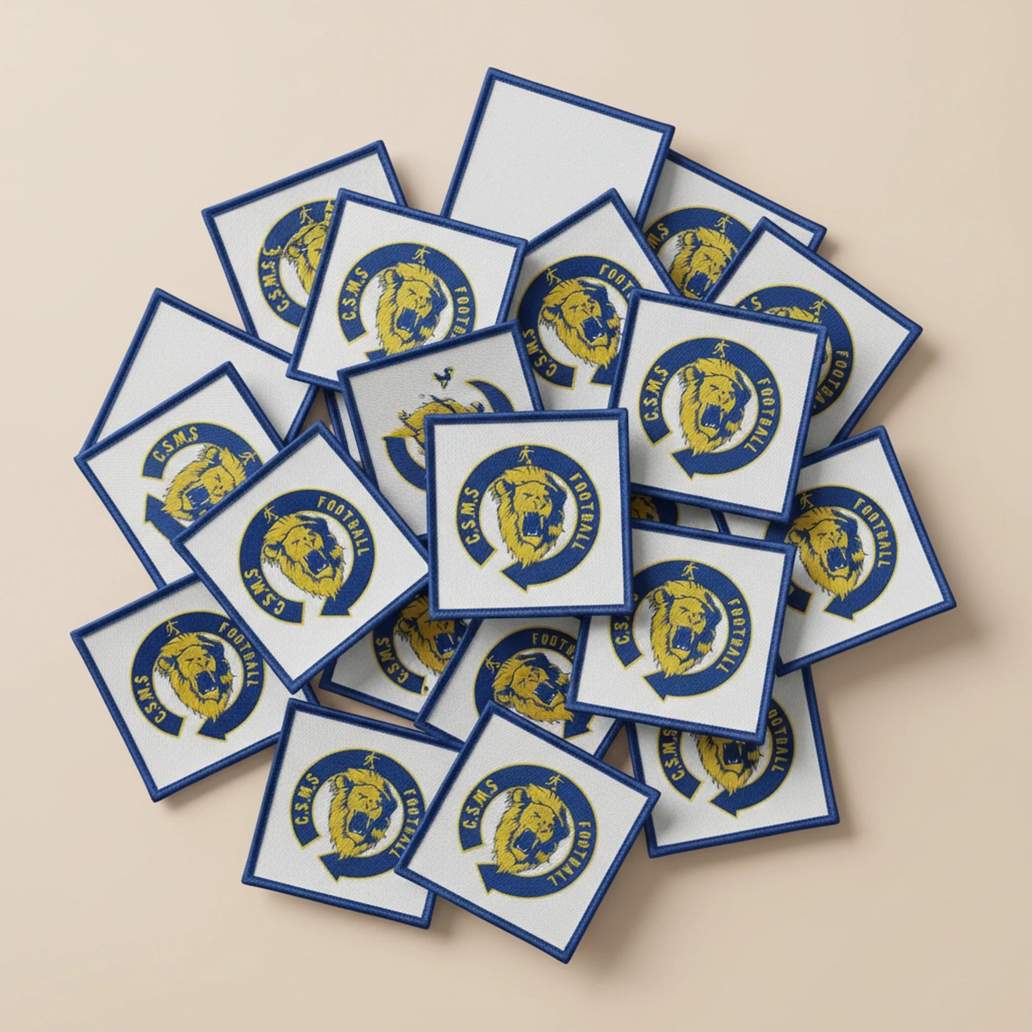 CS Municipal Sully S/loire - Collection