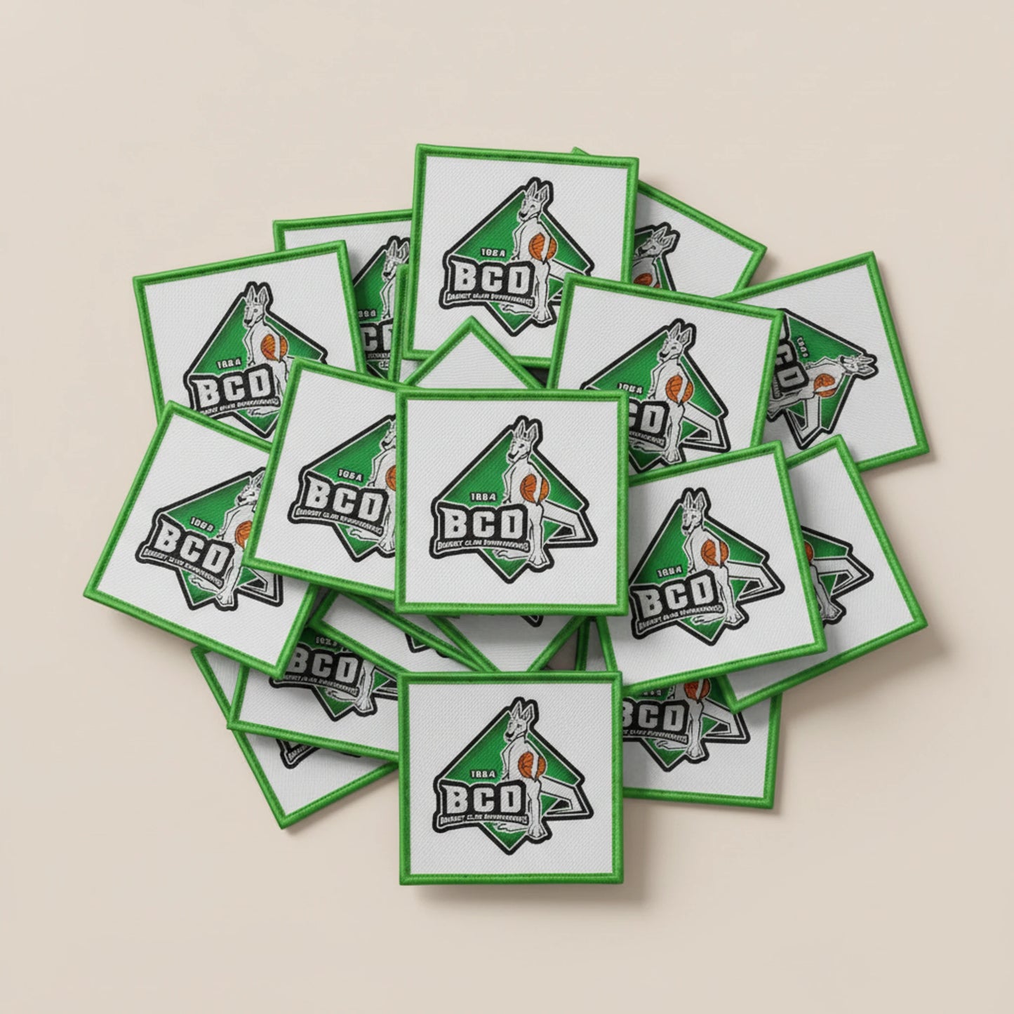 Dompierre Sur Yon - Collection