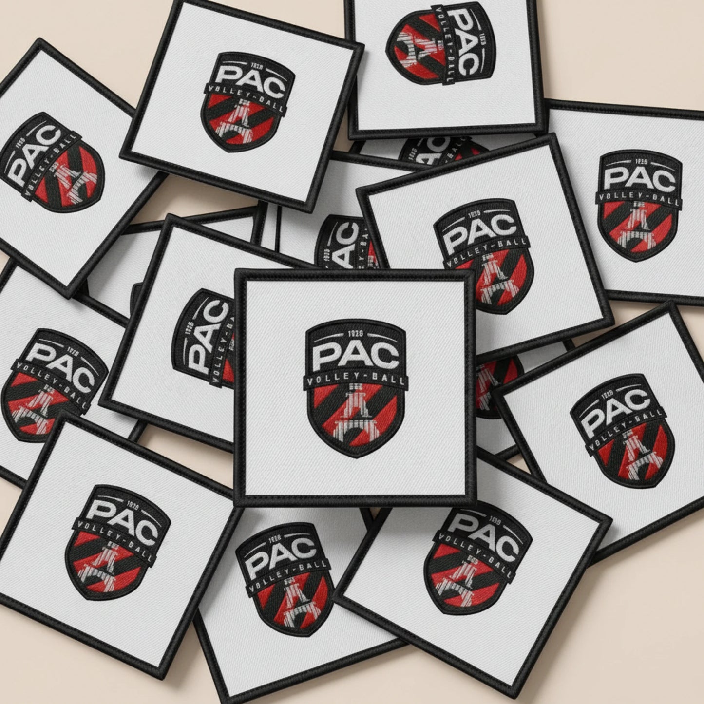 Paris Amicale Camou - Collection