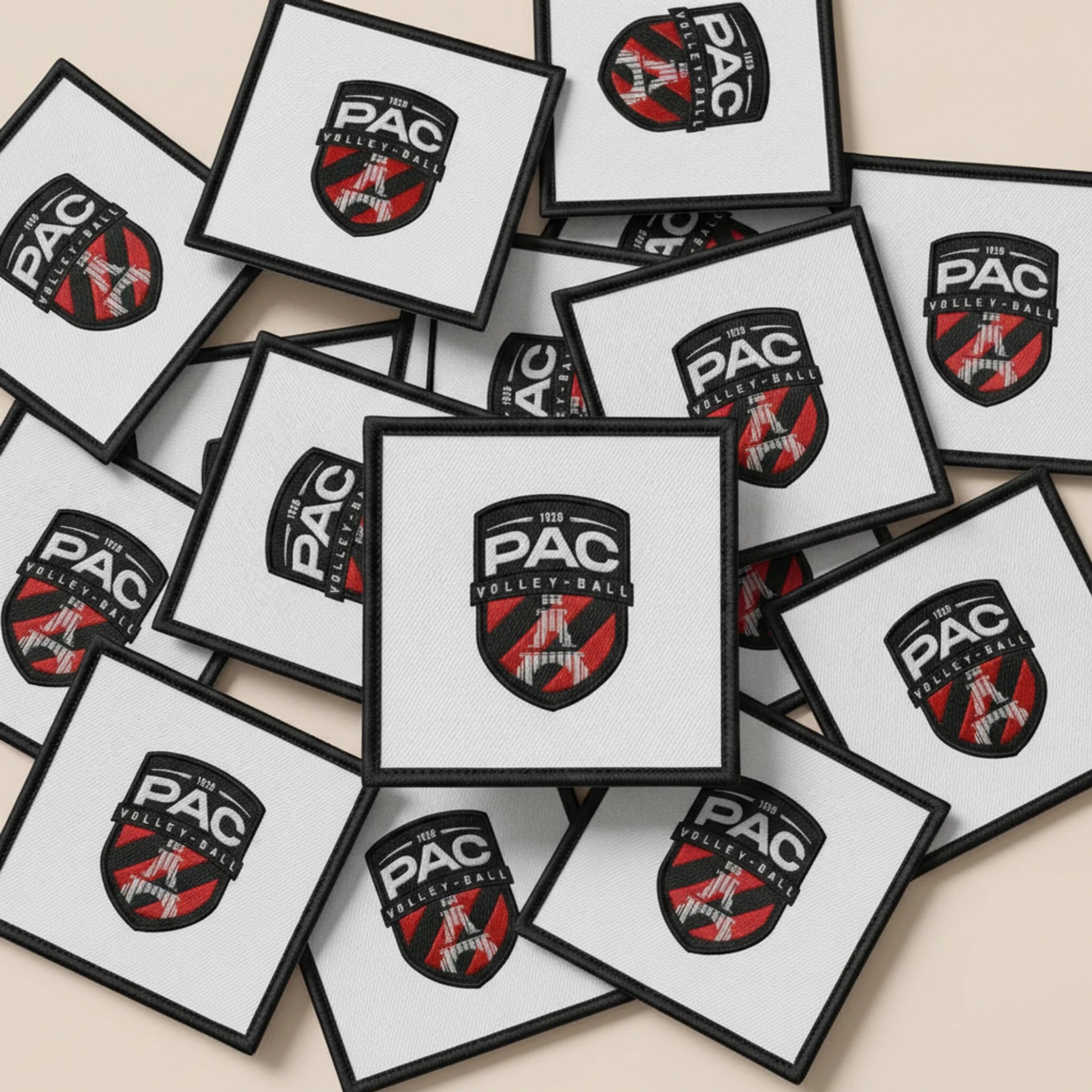 Paris Amicale Camou - Collection