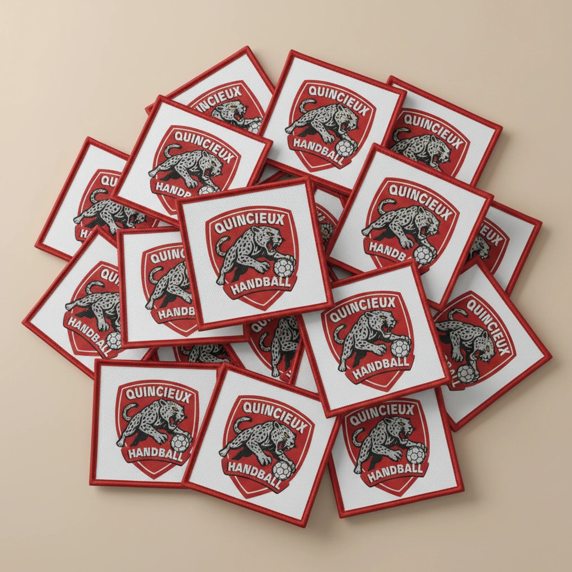 Quincieux MJC - Dos velcro