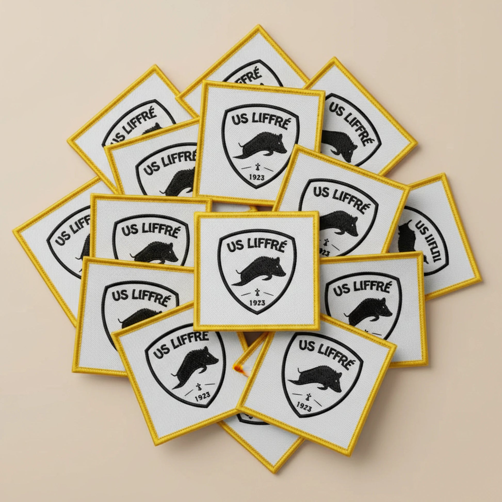 Dos velcro patch brodé PPATCH