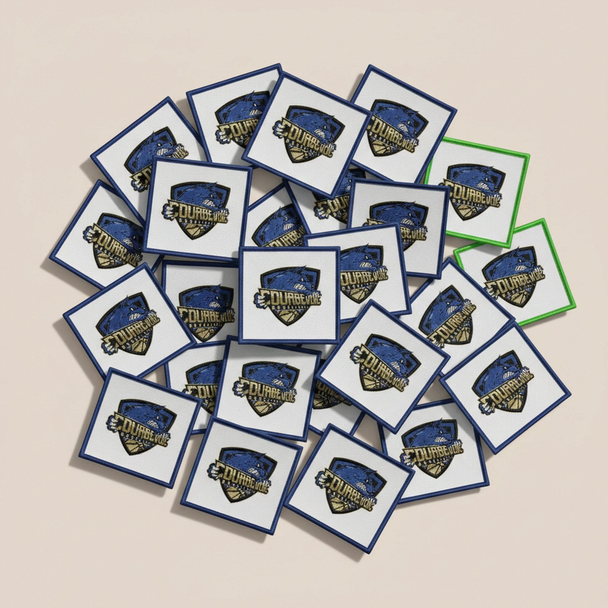 Dos velcro patch brodé PPATCH