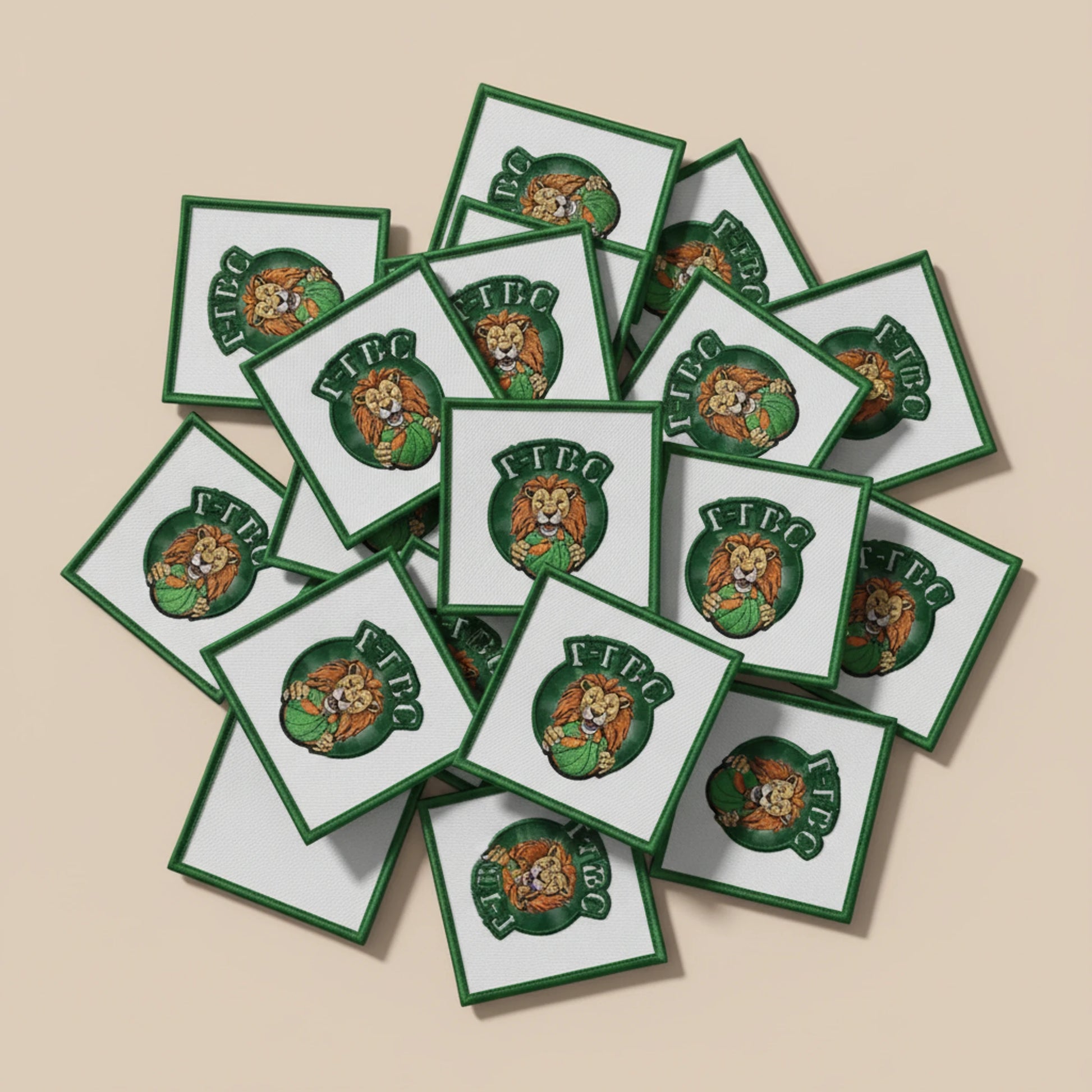 Falleron Touvois Basket Club - Collection