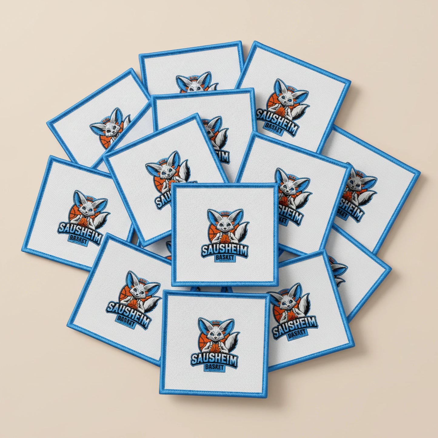 Cssl Sausheim - Collection