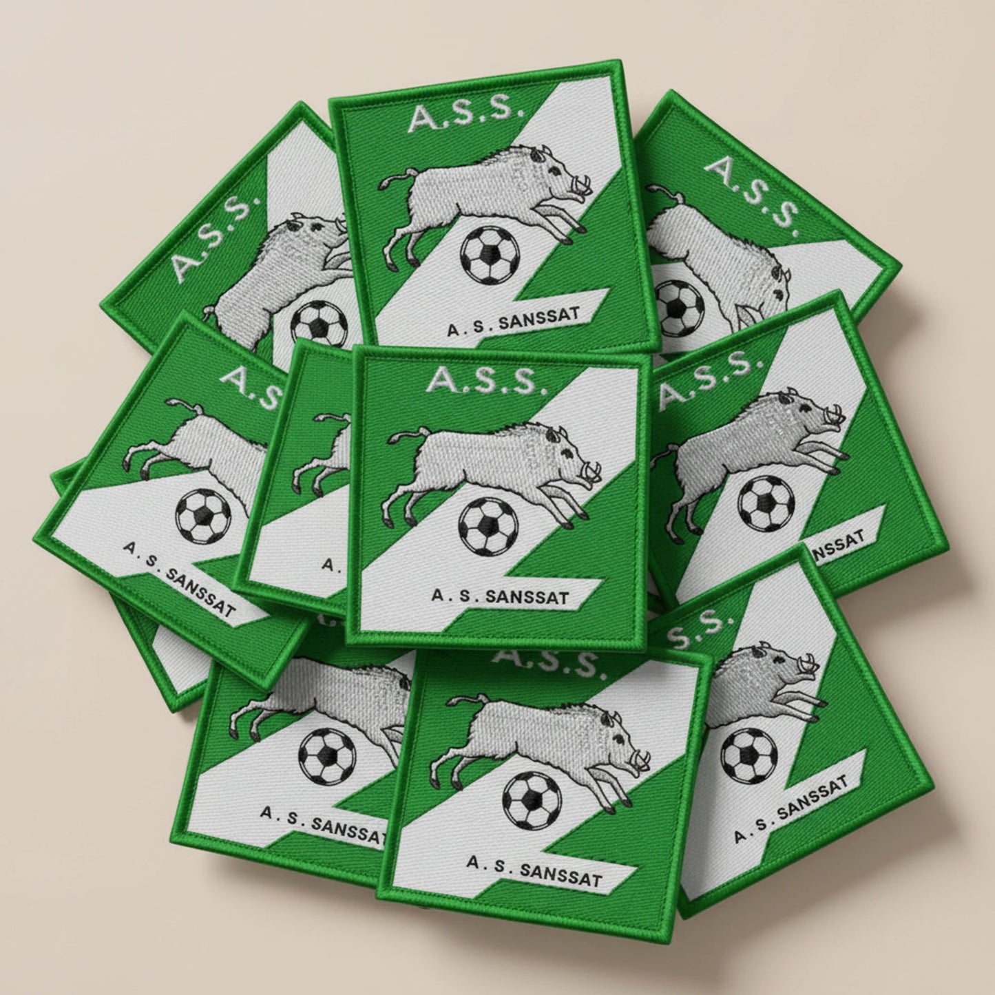 AS De Sanssat - Collection