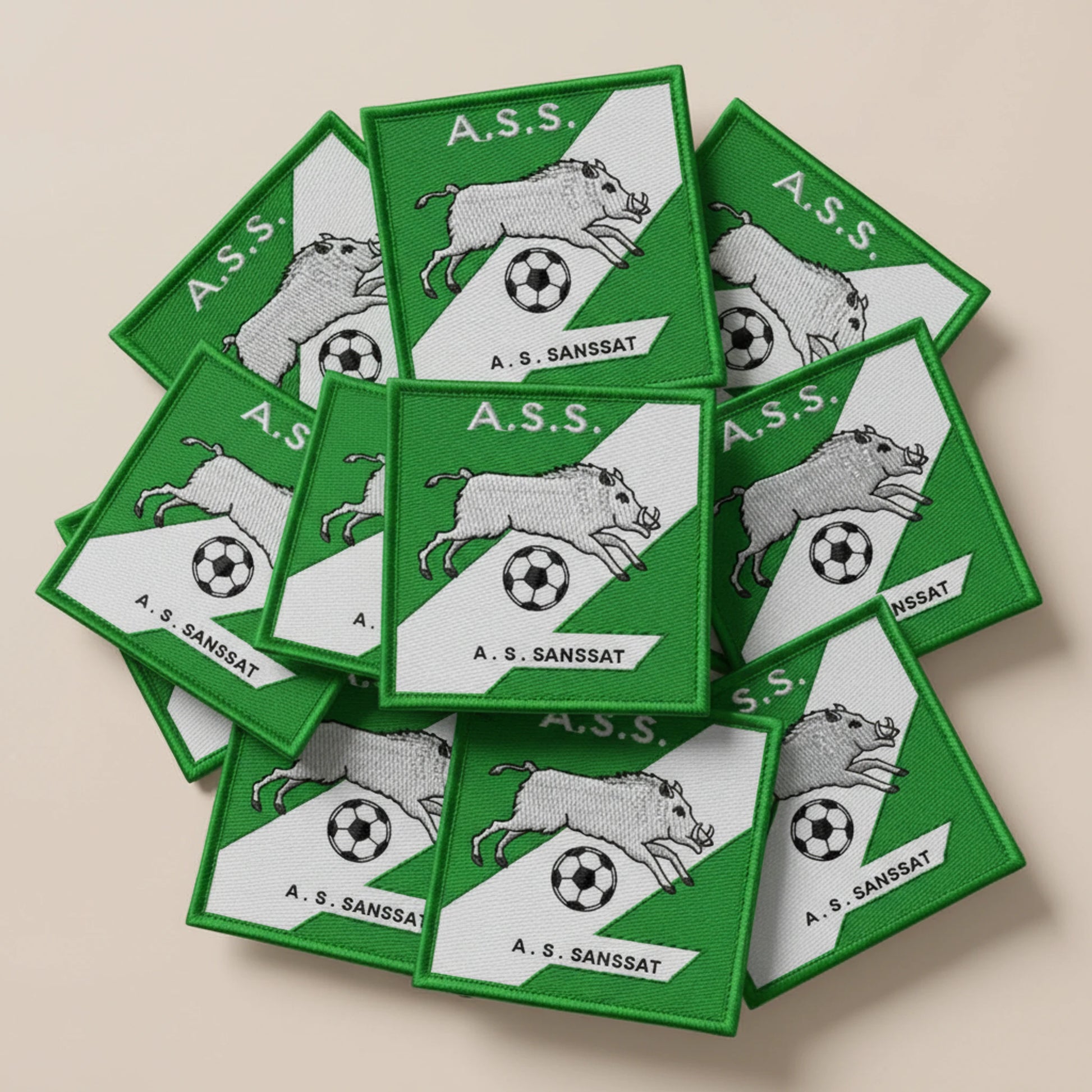 AS De Sanssat - Collection