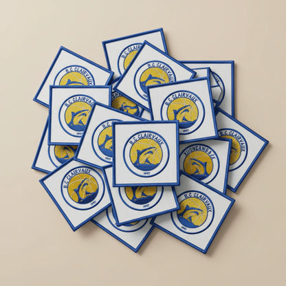 Dos velcro patch brodé PPATCH